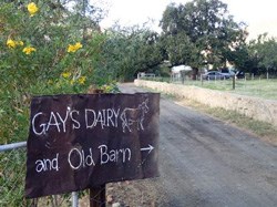 Get mooving, follow the sign, and enjoy some great dairy products.