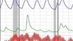 A failed polygraph does not justify dismissal