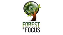 Film festival to focus on forests