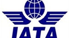 Global air travel starts climbing