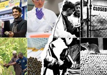 Tobacco prohibition - back to bootlegging?