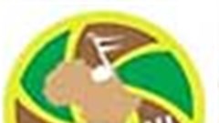 2013 BFMA conference programme now available