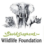 Simon Max Bannister wins prestigious wildlife art award