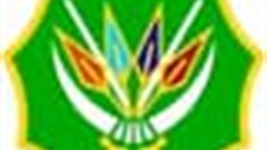 DRC gets 1,300 SA troops