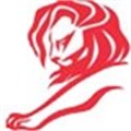 [Cannes Lions 2013] SA's winning work: Design, Press, Radio