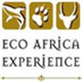 New gap year programme from Eco Africa Experience