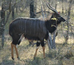 I lost count of what we saw.