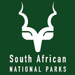 Loss of elephant not caused by controlled fires - SANParks