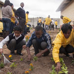 Stodels creates sustainable food garden for Surrey Estate Primary School