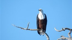 Kruger Park - in all its glory