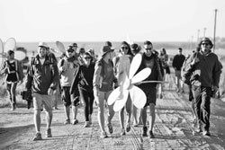 Green guide to Rocking the Daisies