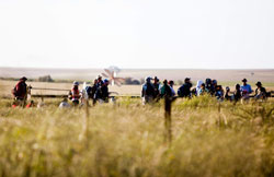 Green guide to Rocking the Daisies