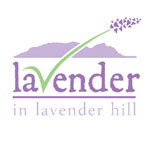 Lavender garden brings hope to Hangberg