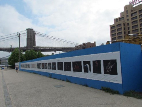 Design for inclusion