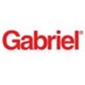 Gabriel achieves top position in brand research