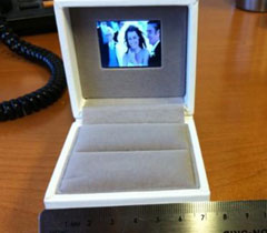 Zimzala Media Video LCD Brochure