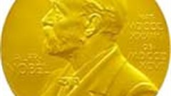 Calls for Manning to get Nobel Peace Prize