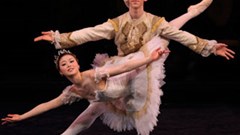 Was The Sleeping Beauty a dream