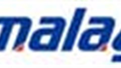 Malaysia Airlines in the red again