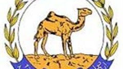 Eritrea's unique architecture under threat