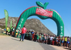 Be Windgat in Pringle Bay this spring