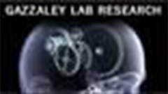 Video game helps elderly keep their minds sharp