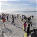 Volunteers invited to clean up coastline