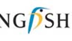 Home-improvements chain Kingfisher says profits soar