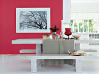 Celebrate colour... Celebrate life