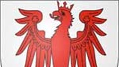 Internet backing for French jeweller who shot thief