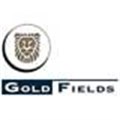 Gold Fields' shares drop amid various allegations