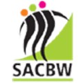 SACBW to announce Businesswoman of the Year