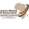 Converting high risk into high reward: strategies for success in the Junior Mining sector