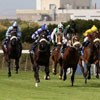 Glorious Goodwood comes to Cape Town
