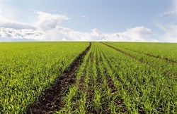 Proposed AgriGroupe, AFGRI merger welcomed