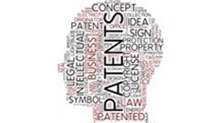 Woolworths and the hummingbird