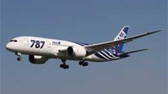 ANA's profits slump as airline fleet is grounded over battery problems. Image: Wiki Images