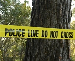 Mthethwa condemns Khutsong violence