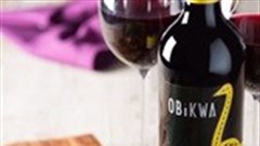 Obikwa gets on board with Mr Delivery