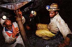 Many miners who are infected with diseases for which they are entitled to compensation are not being tracked down. Image: