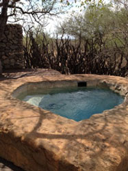 &quot;Feel like a cool dip after a long hard day checking out the wildlife, my heart?&quot;