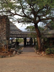 You know you are in Africa, but a luxurious Africa.