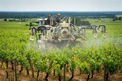 Food security in West Africa can improve with policy support