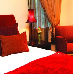 The rooms are equipped with proper tea and coffee-making facilities including a coffee plunger and quality coffee.