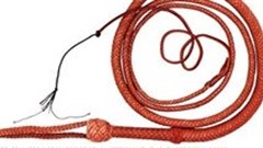 Saudi sentenced to jail, lashes over Twitter libel: report