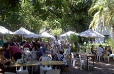 Celebrate harvest at Muratie in Stellenbosch