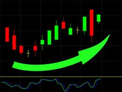 Payments to non-executive directors did not rise significantly last year after large increase in previous years. Image: Nongpimmy