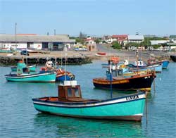 Fishing boats moored in Struisbaai. Fishermen in South Africa have been granted a two-month reprieve and can go fishing for the moment while a dispute with the authorities over fishing permits is resolved. Image:
