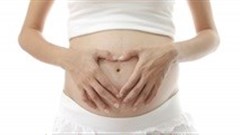 Malaria drug combo could help prevent pregnancy complications in lupus patients