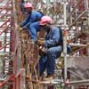 Cement data point to booming construction sector